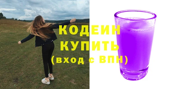 прущие грибы Абаза