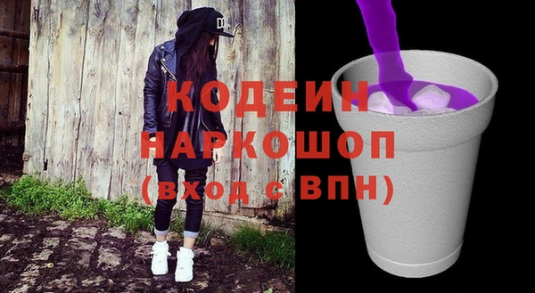 прущие грибы Абаза
