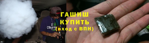 прущие грибы Абаза