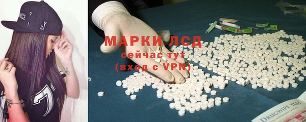 прущие грибы Абаза