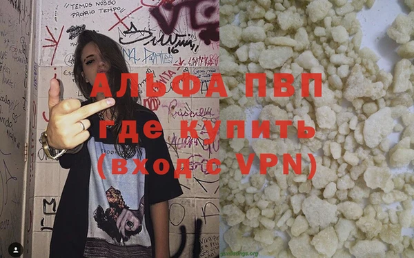 прущие грибы Абаза