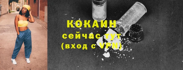 прущие грибы Абаза