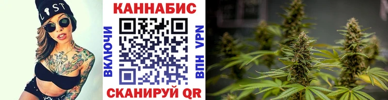 где найти наркотики  MEGA ONION  Конопля ГИДРОПОН  Алупка 